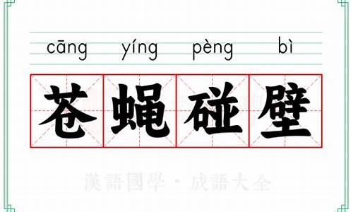 苍蝇碰壁指哪个生肖-苍蝇碰壁指哪个生肖呢