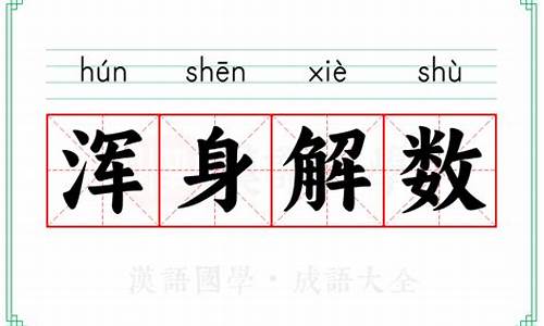 浑身解数 的意思-浑身解数的意思