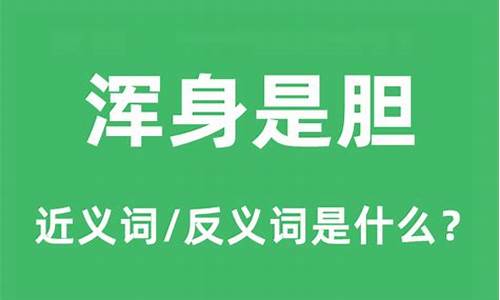 浑身是胆的意思-浑身是胆的意思是什么并猜