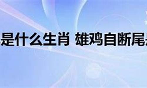 雄鸡断尾打一肖-雄鸡断尾什么意思