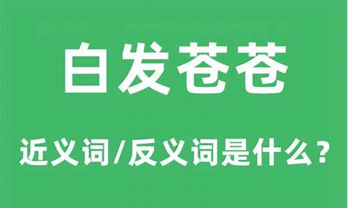 白发苍苍的意思解释是什么-白发苍苍什么意思?