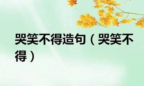 哭笑不得造句-哭笑不得造句10字