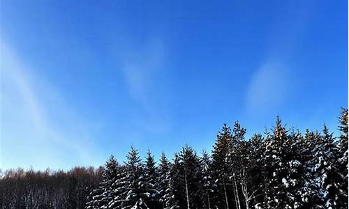 卧雪眠霜-南雪祛痘霜效果怎么样