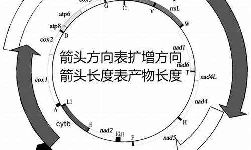 引物连类,穷情尽变,宫商相宣,金石谐和-引物连类