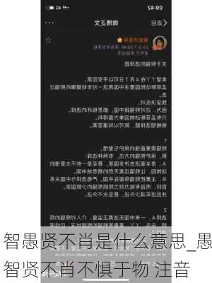 智愚贤不肖是什么意思_愚智贤不肖不惧于物 注音