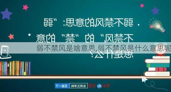 弱不禁风是啥意思,弱不禁风是什么意思呢