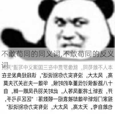 不敢苟同的同义词,不敢苟同的反义词