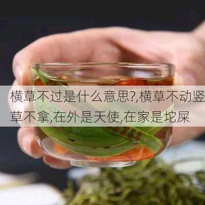 横草不过是什么意思?,横草不动竖草不拿,在外是天使,在家是坨屎