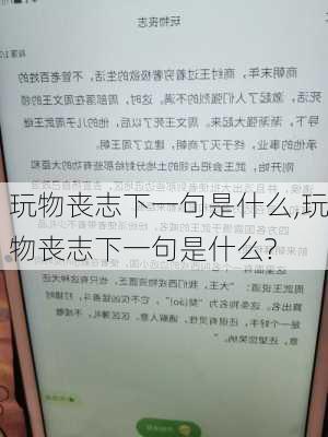 玩物丧志下一句是什么,玩物丧志下一句是什么?