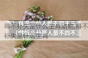 得不补失是什么生肖动物,得不补失是什么生肖