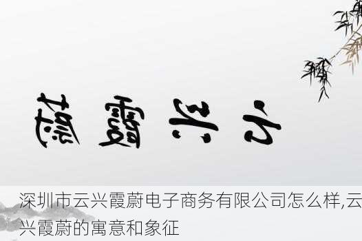 深圳市云兴霞蔚电子商务有限公司怎么样,云兴霞蔚的寓意和象征