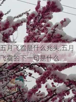 五月飞雪是什么兆头,五月飞霜的下一句是什么