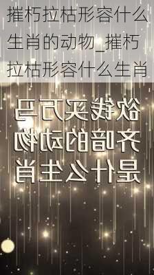 摧朽拉枯形容什么生肖的动物_摧朽拉枯形容什么生肖