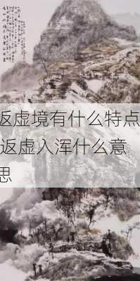 返虚境有什么特点,返虚入浑什么意思