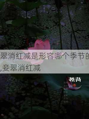 翠消红减是形容哪个季节的,妾翠消红减