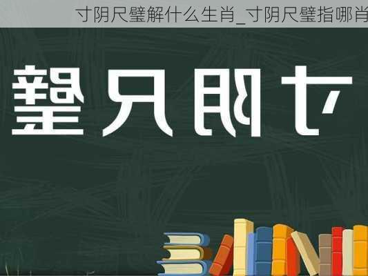 寸阴尺璧解什么生肖_寸阴尺璧指哪肖