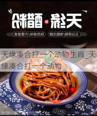 天缘凑合打一个动物生肖_天缘凑合打一个动物