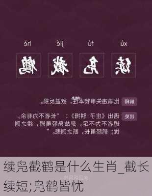 续凫截鹤是什么生肖_截长续短;凫鹤皆忧