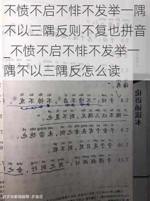 不愤不启不悱不发举一隅不以三隅反则不复也拼音_不愤不启不悱不发举一隅不以三隅反怎么读