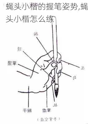 蝇头小楷的握笔姿势,蝇头小楷怎么练