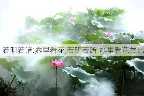 若明若暗:雾里看花,若明若暗:雾里看花类比