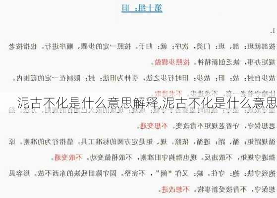 泥古不化是什么意思解释,泥古不化是什么意思