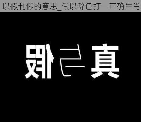 以假制假的意思_假以辞色打一正确生肖