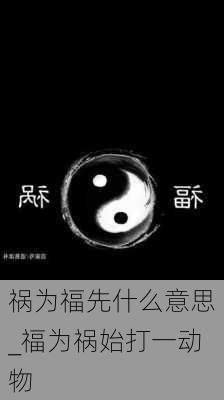 祸为福先什么意思_福为祸始打一动物