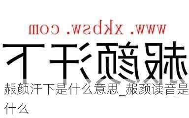 赧颜汗下是什么意思_赧颜读音是什么