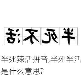 半死辣活拼音,半死半活是什么意思?