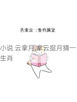 小说 云拿月,拿云捉月猜一生肖