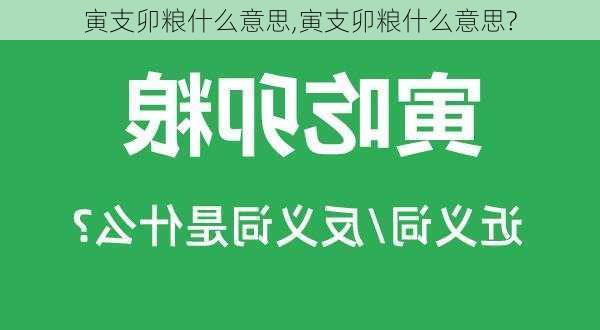 寅支卯粮什么意思,寅支卯粮什么意思?