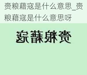 赍粮藉寇是什么意思_赍粮藉寇是什么意思呀