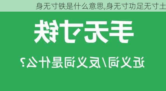 身无寸铁是什么意思,身无寸功足无寸土