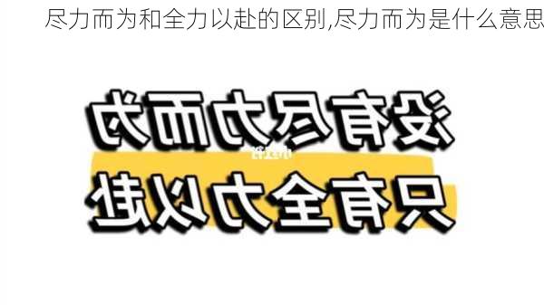 尽力而为和全力以赴的区别,尽力而为是什么意思