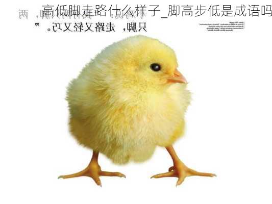 高低脚走路什么样子_脚高步低是成语吗