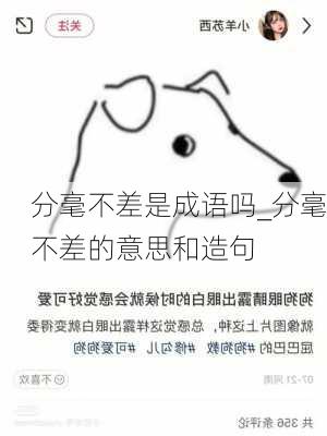 分毫不差是成语吗_分毫不差的意思和造句