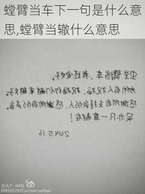 螳臂当车下一句是什么意思,螳臂当辙什么意思