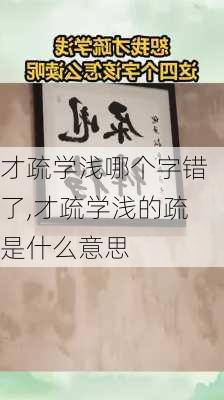 才疏学浅哪个字错了,才疏学浅的疏是什么意思