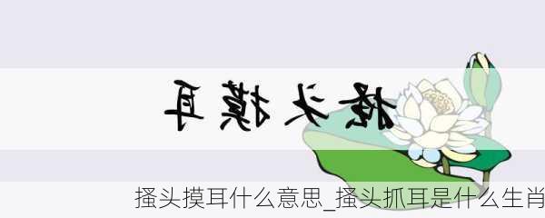 搔头摸耳什么意思_搔头抓耳是什么生肖