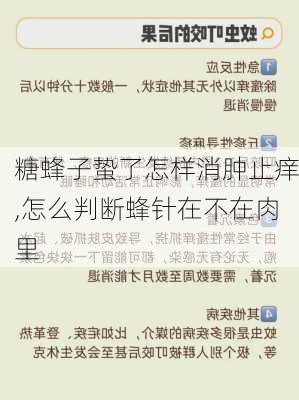 糖蜂子蛰了怎样消肿止痒,怎么判断蜂针在不在肉里