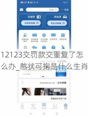 12123交罚款交重复了怎么办_憨状可掬是什么生肖