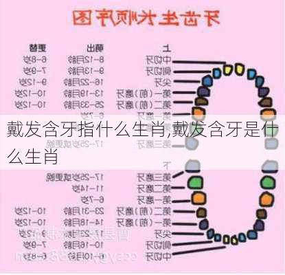 戴发含牙指什么生肖,戴发含牙是什么生肖