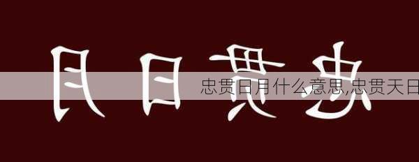 忠贯日月什么意思,忠贯天日