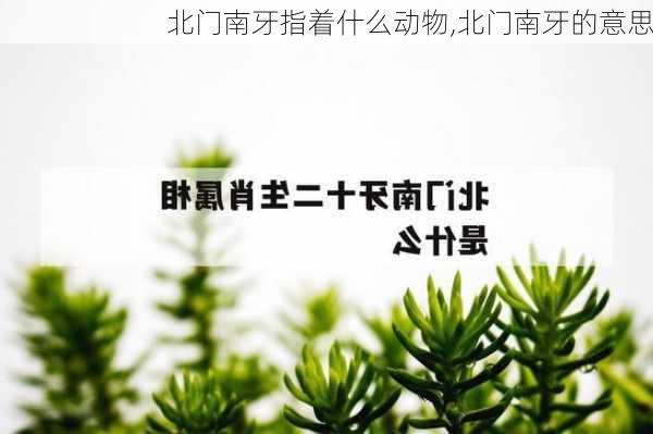 北门南牙指着什么动物,北门南牙的意思