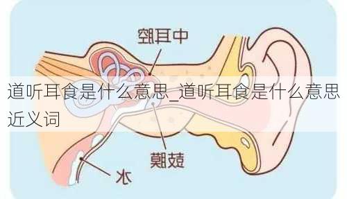 道听耳食是什么意思_道听耳食是什么意思近义词