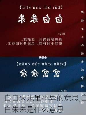 白白朱朱虽小异的意思,白白朱朱是什么意思