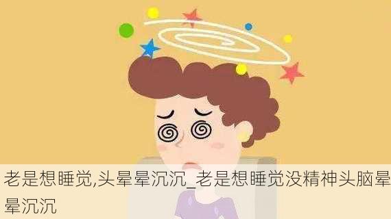 老是想睡觉,头晕晕沉沉_老是想睡觉没精神头脑晕晕沉沉