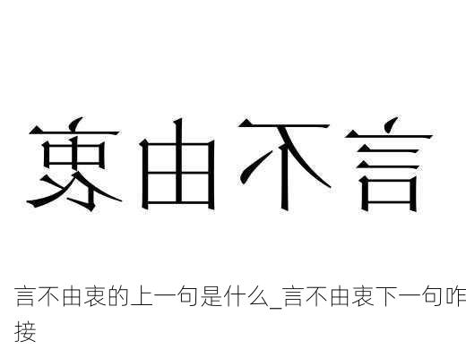 言不由衷的上一句是什么_言不由衷下一句咋接