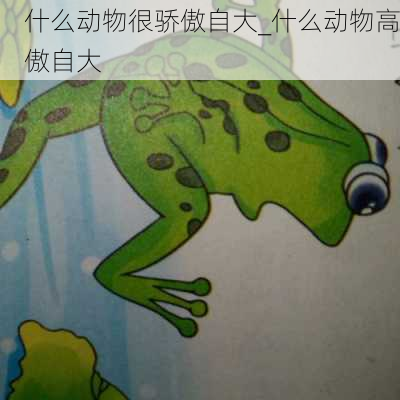 什么动物很骄傲自大_什么动物高傲自大